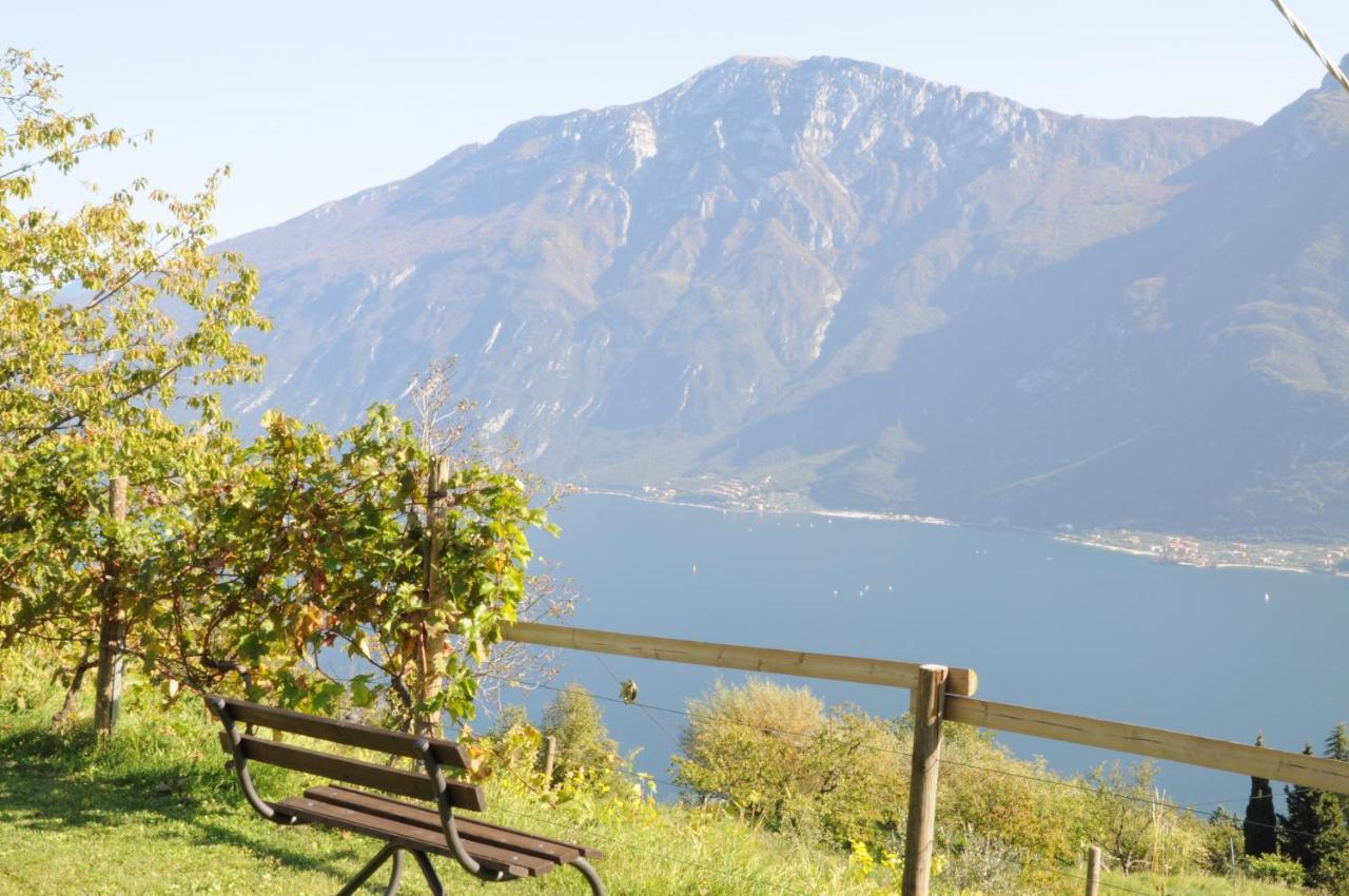 Villetta 56 Blu Yellow And Red Lake View Garden Private Parking By Garda Domus Mea Tremosine Eksteriør bilde