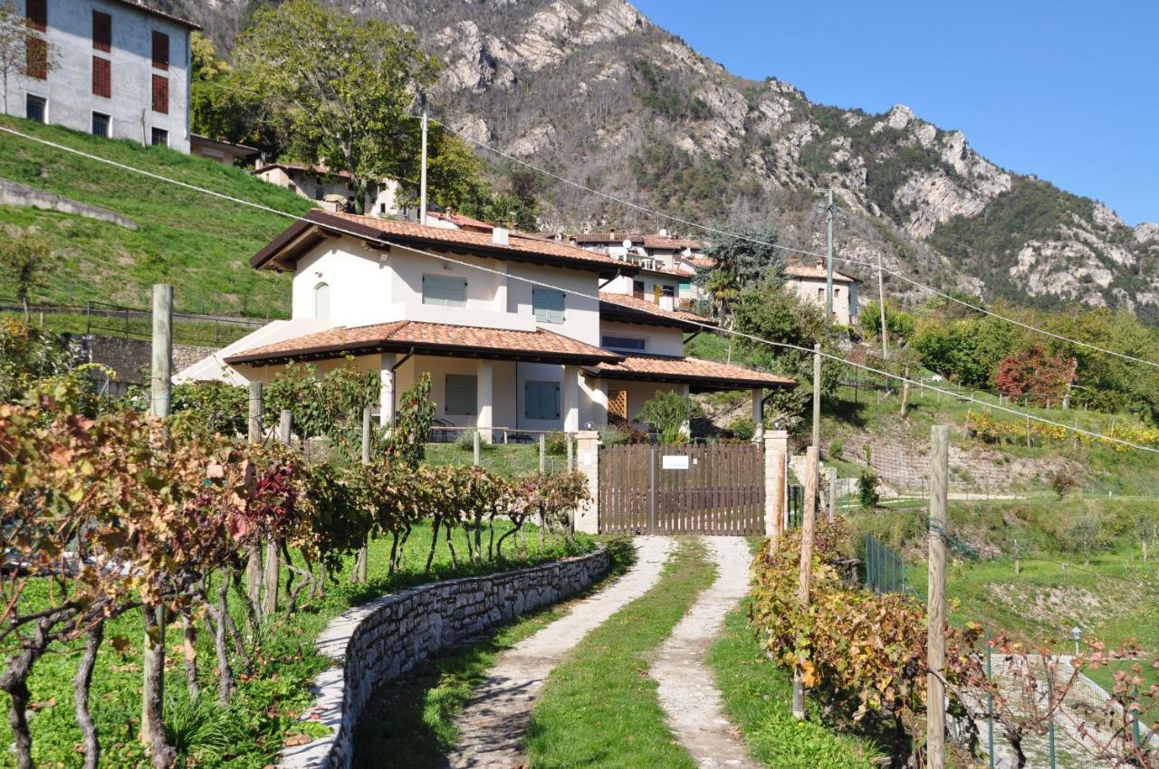 Villetta 56 Blu Yellow And Red Lake View Garden Private Parking By Garda Domus Mea Tremosine Eksteriør bilde
