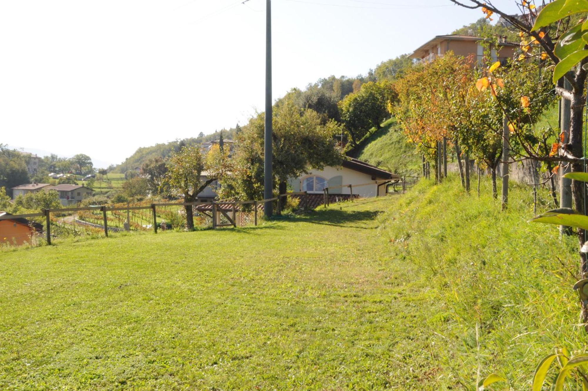Villetta 56 Blu Yellow And Red Lake View Garden Private Parking By Garda Domus Mea Tremosine Eksteriør bilde